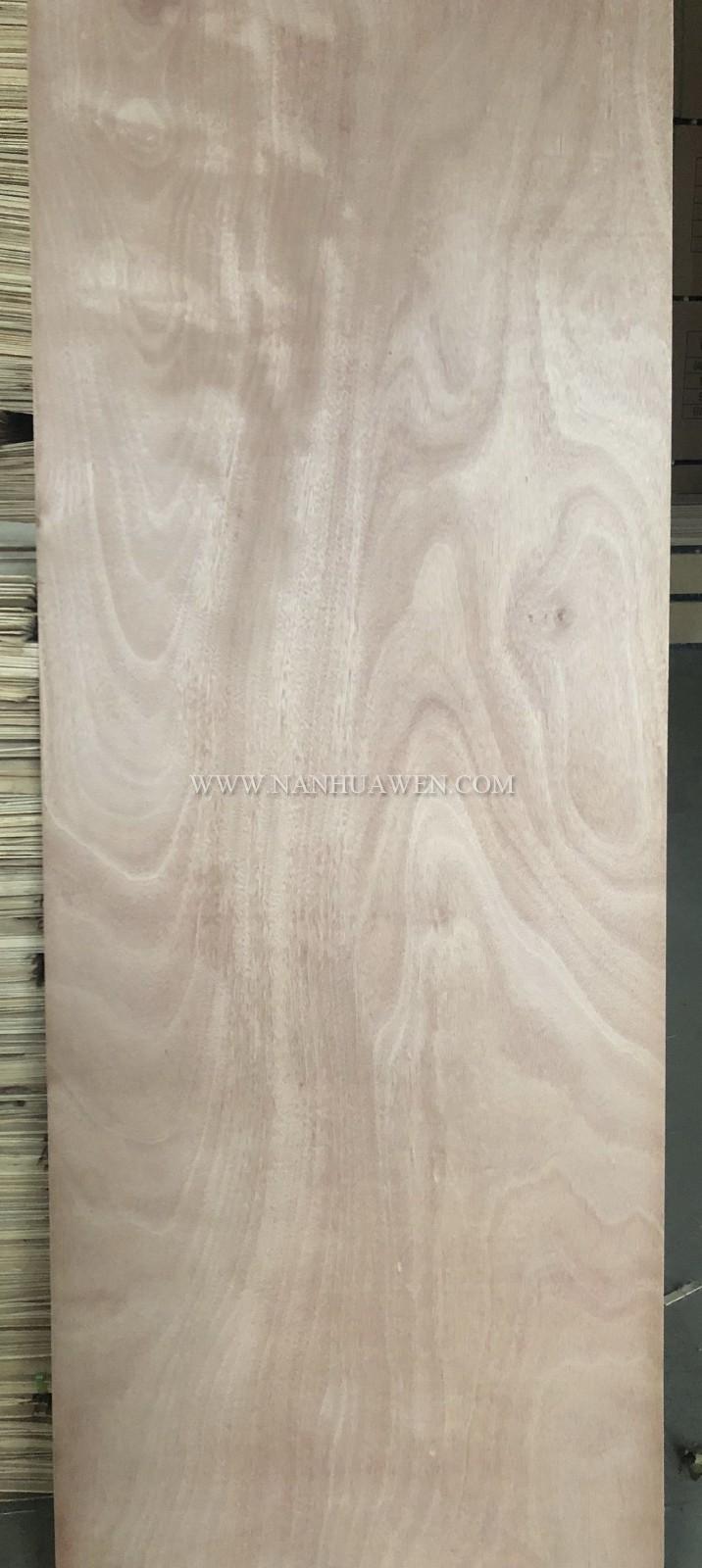 Plywood Door skin.JPG